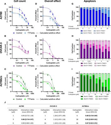 Tumor Treating Fields (TTFields) induce homologous recombination deficiency in ovarian cancer cells, thus mitigating drug resistance